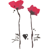 poppies and love