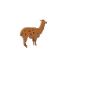 lama