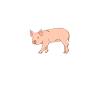pig