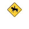 Dressage Riding