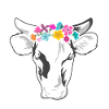 Cow favorite animal