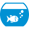 Aquarium Fish