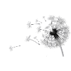 Pusteblume against right I