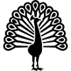 Pfau