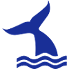 Baleine