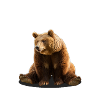 Bear with me