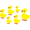 ducks