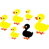 ducks