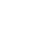 Palm Design