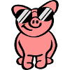 Cool Pig