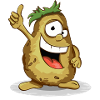 potato