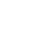 Paraglider