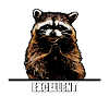 Evil Raccoon