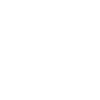 Chicken animal