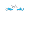 requin