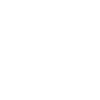 racoon