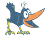 Funny birds raven