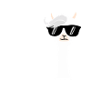 Funny Llama