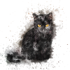 Chat aquarelle noir