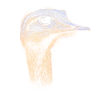 ostrich