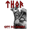 Thor - God of Thunder