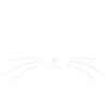 Cat face