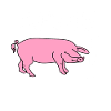Arme sau