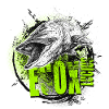Pike – Esox lucius