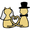 cat wedding
