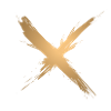 Brosse Or X