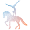 Saut - saut - Volti - chevaux