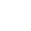 Tarantula spider insect