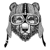 Motorradfahrer Teddybär