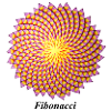 Fibonacci flower