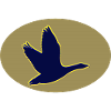 Seabirds