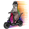Otter Escooter Electricscooter