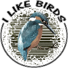 J'aime les oiseaux