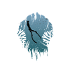 freediving