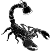 Skorpion