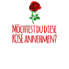 Rose Bachelor Spruch lustig