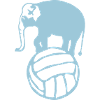 volleyball elephant ballon volley waterpolo