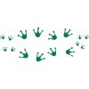 Frog Family