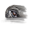 Eléphant