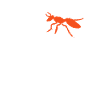 ant