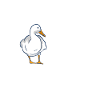 duck