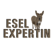 donkey expert