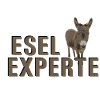 Esel Experte