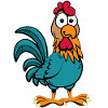 Cock chicken