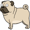 Derp Pug