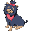 Cute doggy